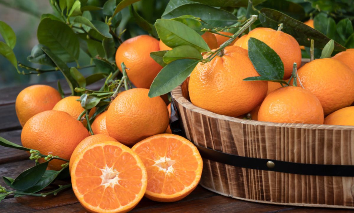 Foods Avoid With Oranges