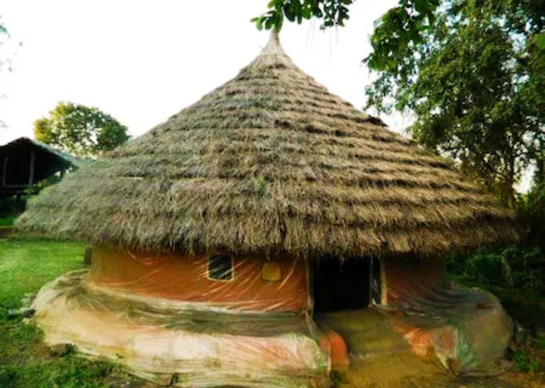 Warli House
