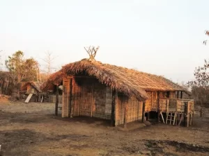 Warli House 