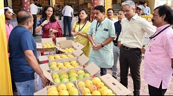 Mango Jatra In Indore
