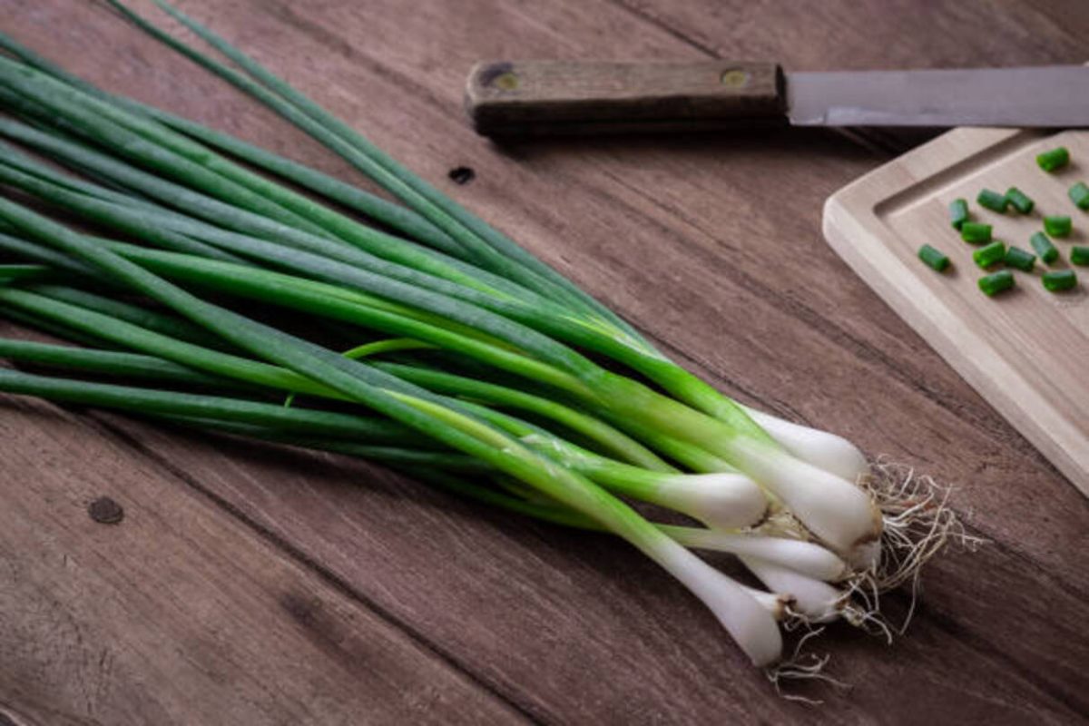 Green Onion: सेहत के लिए वरदान है हरा प्याज, इन 4 समस्याओं को करता है दूर