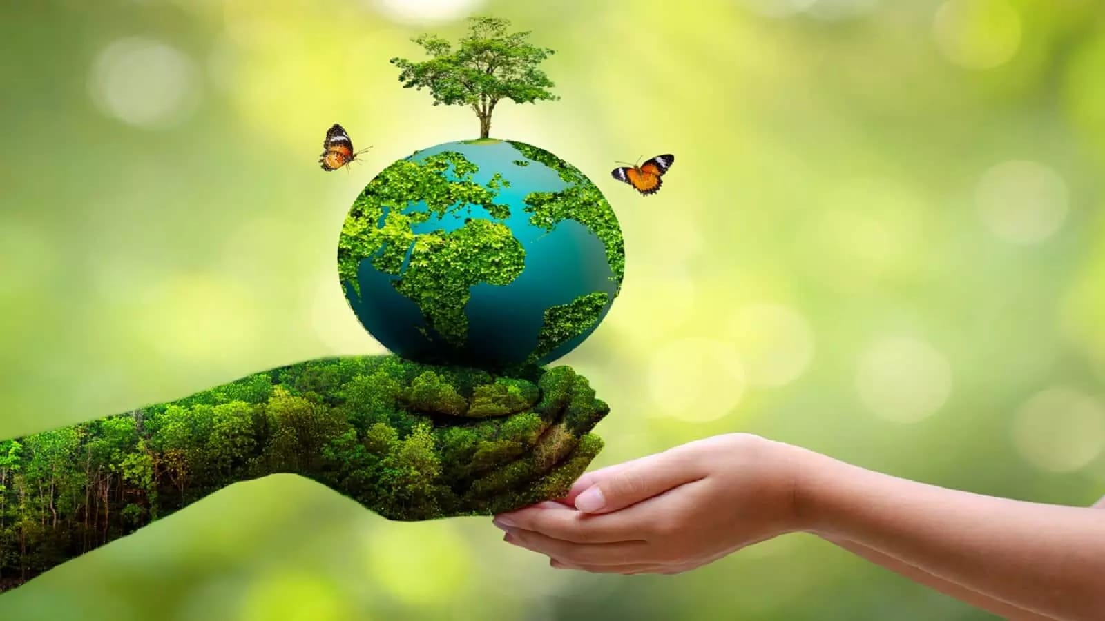 World Environment Day 2023