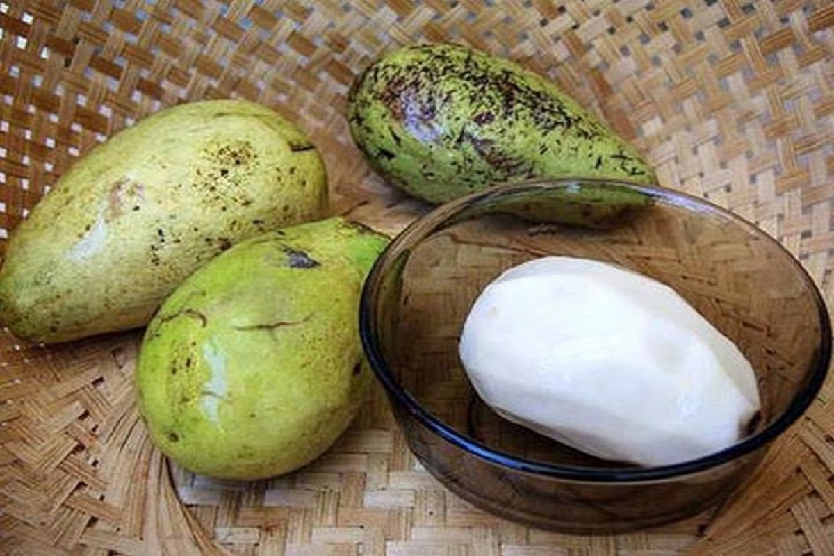 White Mango: बाली में मिलता है दुनिया का सबसे अनोखा व्हाइट आम, जानिए इसकी खासियत