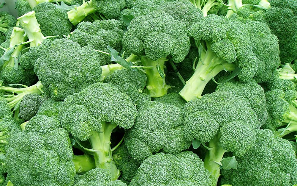 Broccoli Benefits: जानें ब्रोकली खाने के अनेकों फायदे, कई रोगों से बचाने में होता है मददगार