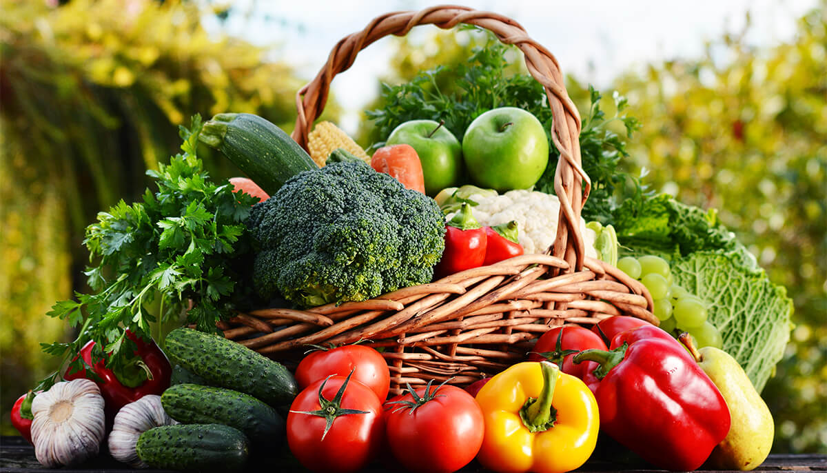 Healthy Green Vegetables: गर्मी के मौसम में जरूर खाएं ये 6 सब्जियां, कई बीमारियां रहेंगी कोसों दूर