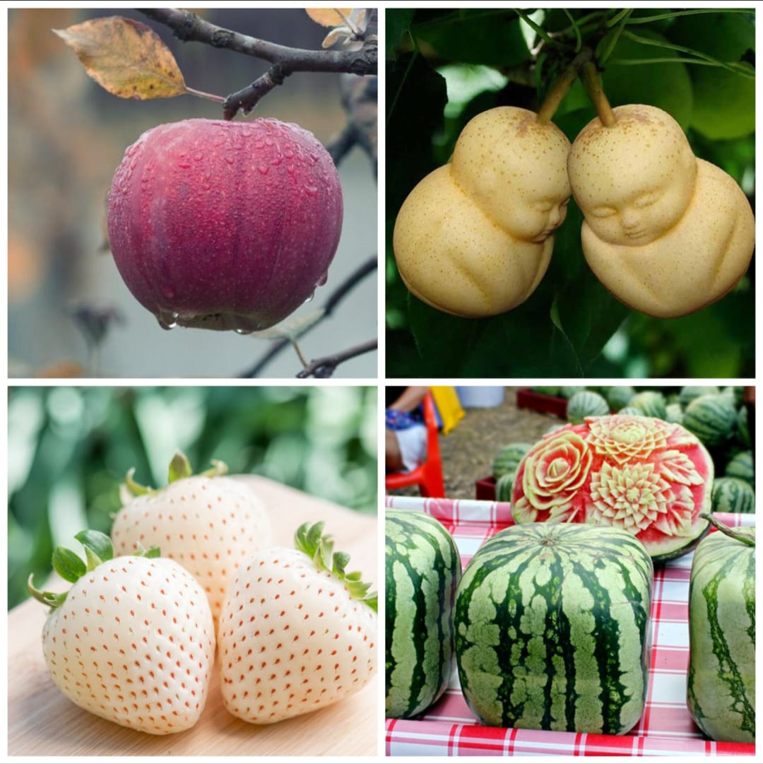 Most Expensive Fruits
