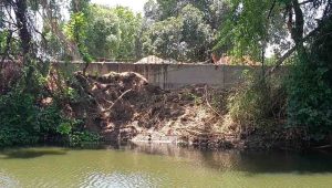 Sehore News : सीवन नदी पर करोड़ों रुपए खर्च, बिल्डर ने नदी में फेंकी मिट्टी, काटे हरे-भरे बांस