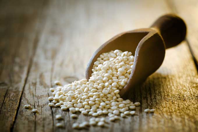 Health Tips: वजन घटाने के लिए आज ही डाइट में शामिल करें Quinoa, घर पर आसानी से करें तैयार