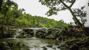 Waterfall Near Indore