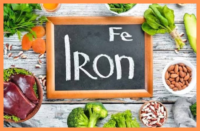 Iron Rich Foods