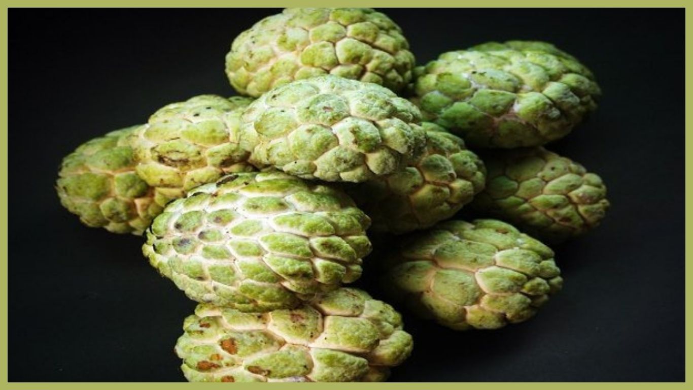 Custard Apple