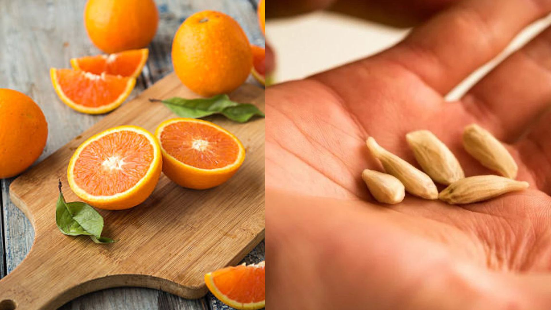 orange seeds benefits