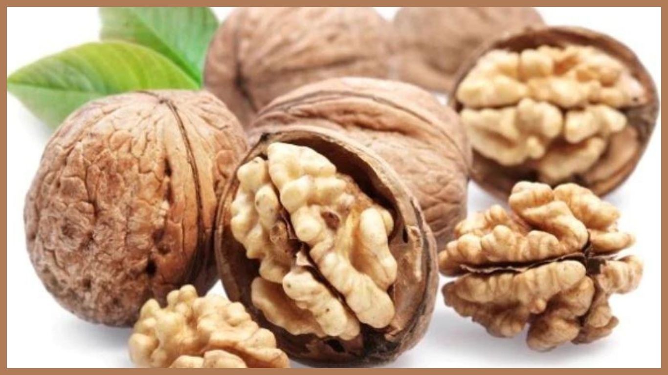 Walnut Benefits