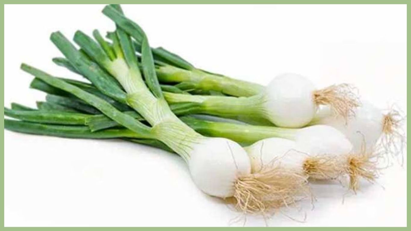 spring onion