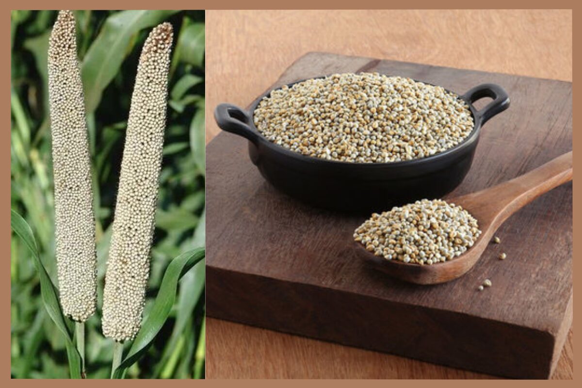 Bajra Benefits in winters