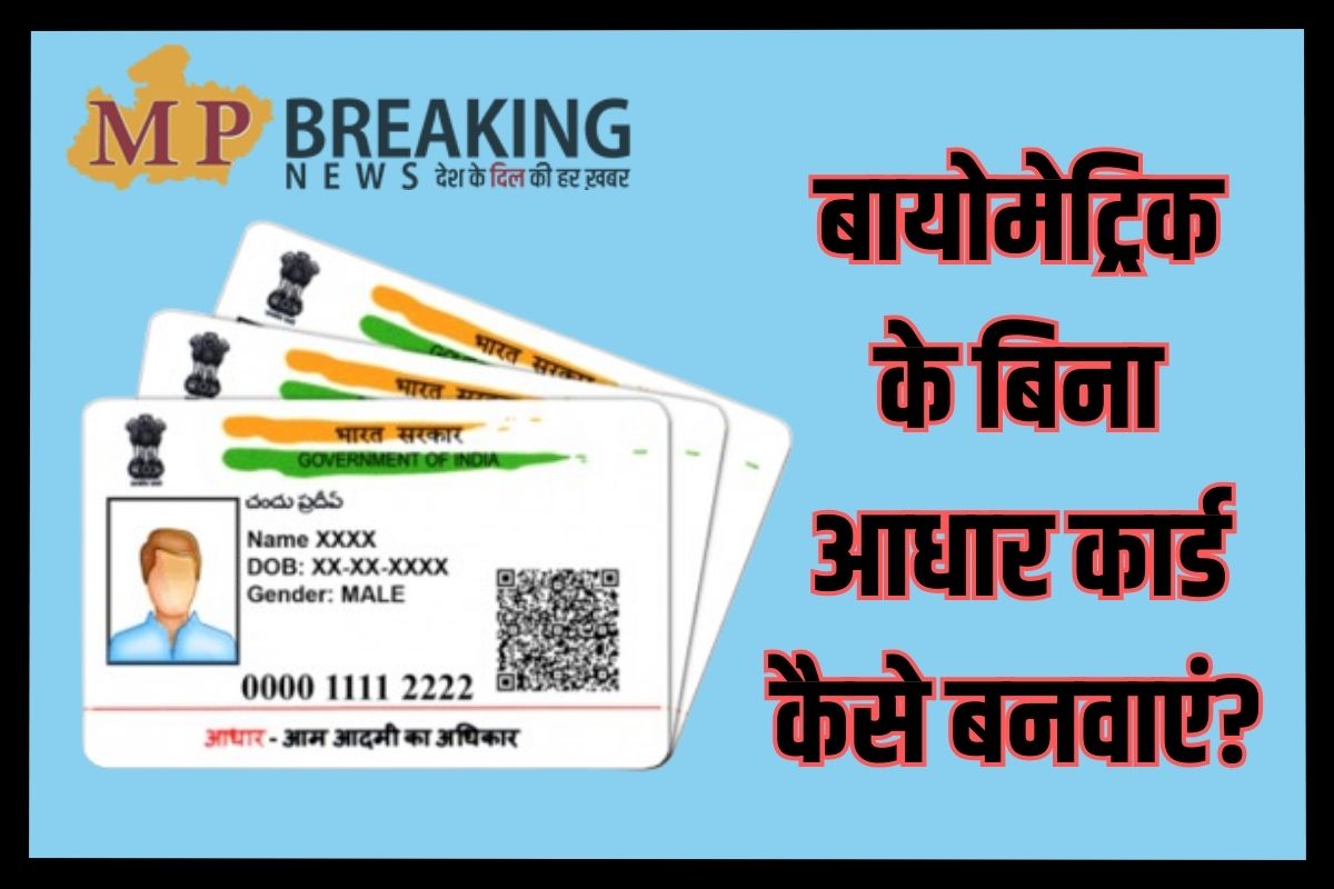 Aadhaar Card Without Biometrics