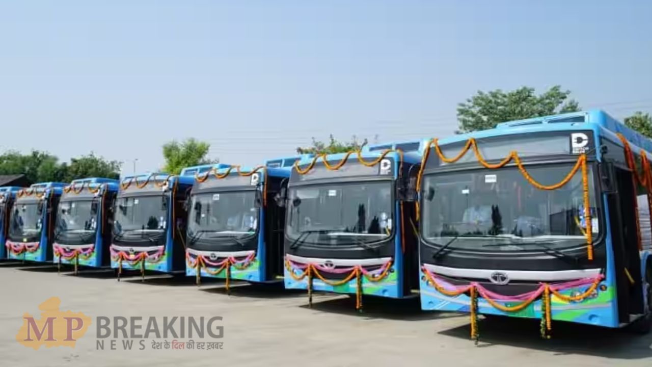 electric buses