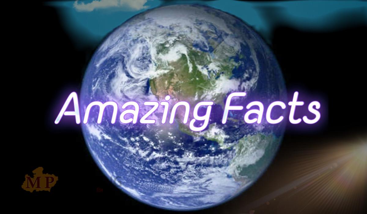 Amazing facts