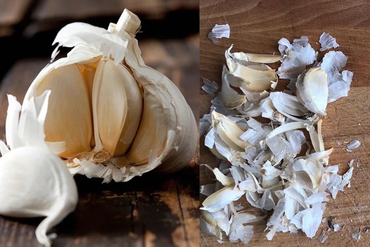 garlic peels benefits