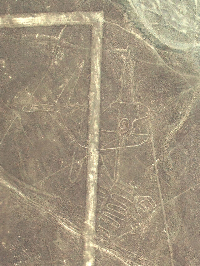 Nazca-Linien, Wal