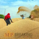 MP News: किसानों के लिए जरूरी खबर, समर्थन मूल्य पर गेहूं खरीदी की लास्ट डेट नजदीक, जल्द पूरा कर लें काम, जानें रेट-नियम और डिटेल्स
