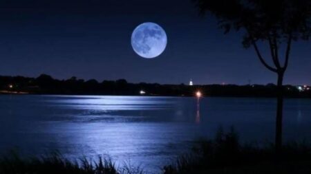 23 अप्रैल को मनाई जाएगी Chaitra Purnima, इस शुभ मुहूर्त पर करें चंद्रमा की पूजा, जानें महत्व
