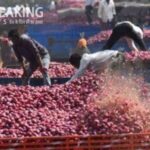 Onion Export: सरकार ने प्याज के निर्यात पर लगे प्रतिबंध में दी छूट, इन 6 देशों में भेजा जाएगा भारत से इतना प्याज, पढ़ें खबर