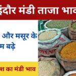 Mandi Bhav: चना कांटा और मसूर के दाम बढ़े, काबुली चना में 100 रुपये की आई गिरावट, यहां पढ़े प्रदेश का मंडी भाव