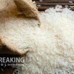 India Rice Export: केंद्र सरकार ने मॉरीशस को दी चावल निर्यात की मंजूरी, जानिए इसका आम लोगों की जेब पर कितना पड़ेगा असर