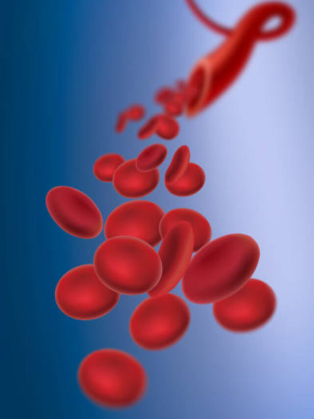 Flowing red blood cells