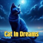 Dream Astrology: सपने में बिल्ली का दिखाई देना माना जाता है शुभ संकेत, रिश्तेदारों से संबंध बनते हैं अच्छे