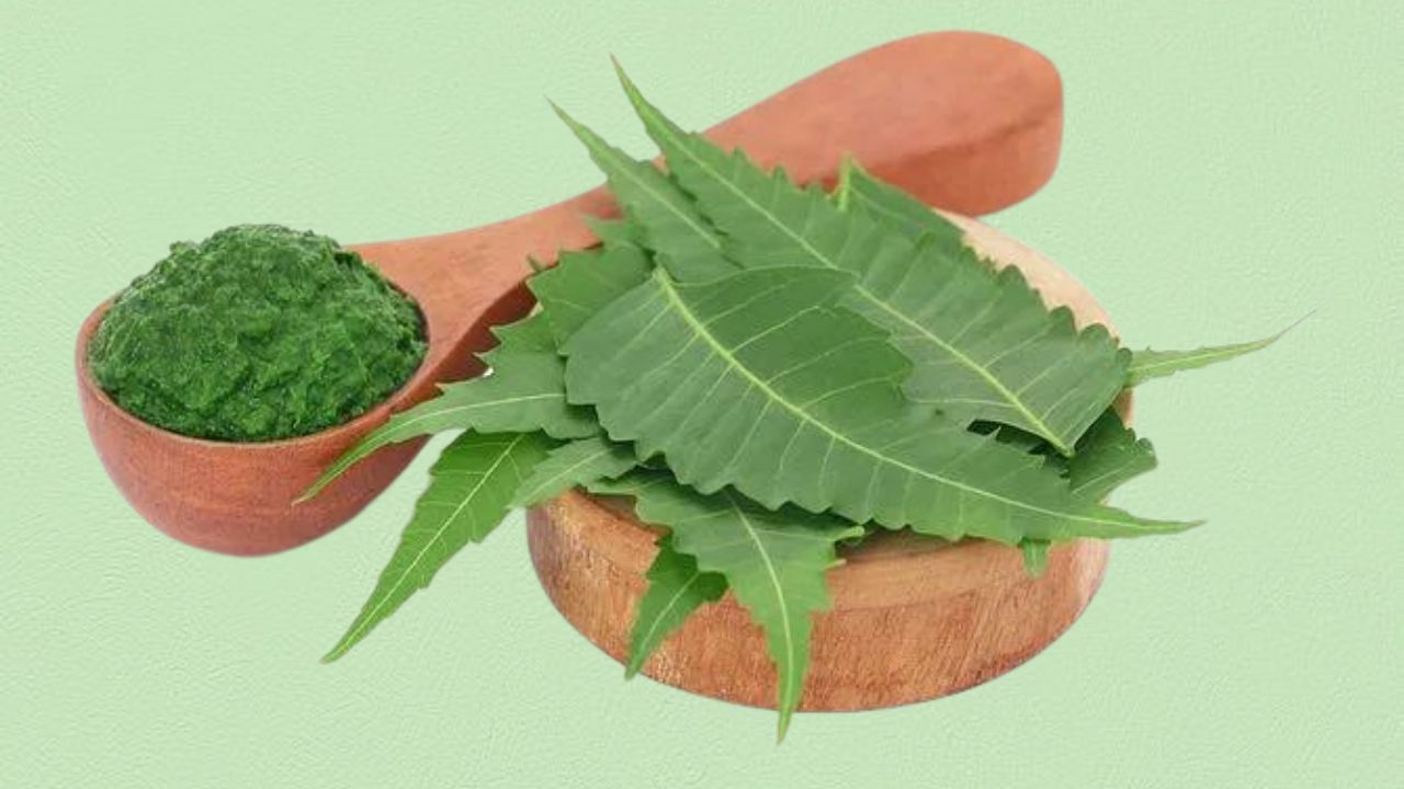 Neem Leaves Recipes