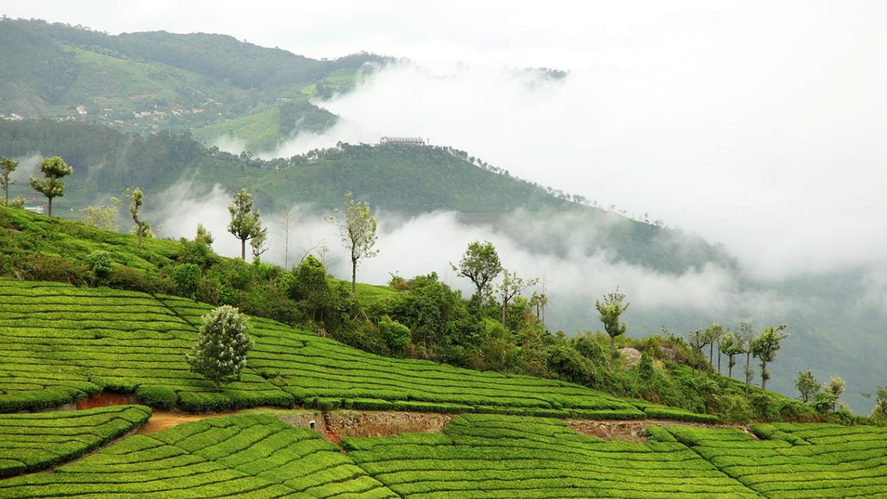 Coonoor