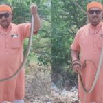 Jabalpur News: जबलपुर मेडिकल कॉलेज के गर्ल्स हॉस्टल में निकला सांप, सर्प विशेषज्ञ ने 7 फीट लंबे धामन सांप को पकड़कर जंगल में छोड़ा