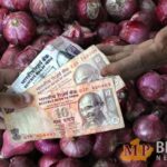 Onion Price in India: आज से लागू होंगे नए नियम, प्याज के निर्यात से नहीं पड़ेगा आम लोगों की जेब पर असर, पढ़ें खबर