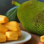 Jackfruit Worst Combination: कटहल खाने के बाद इन 5 चीजों का सेवन सेहत के लिए होता है हानिकारक, जानें क्यों