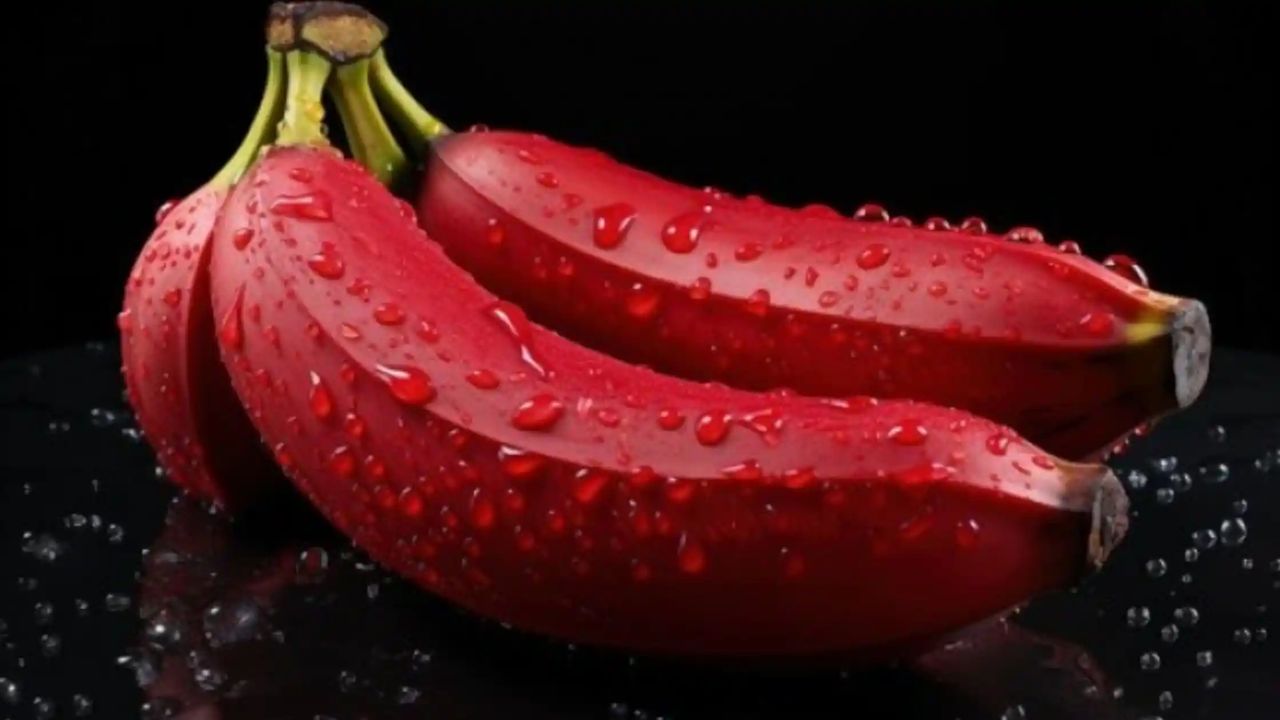 red banana