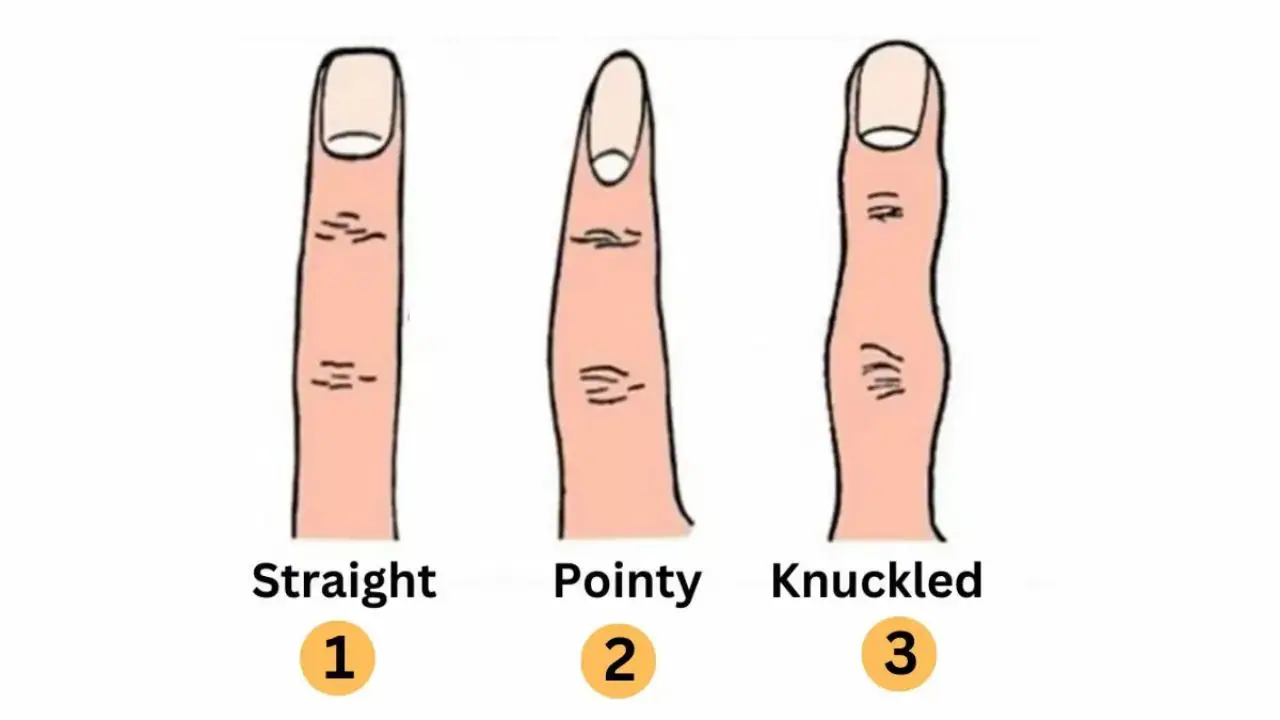 उंगलियों की बनावट में छुपे हैं गहरे राज, आकार से उजागर होगा व्यक्तित्व Personality Test: