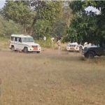 umaria Bandhavgarh Tiger Reserve elephant death