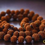 Rudraksha