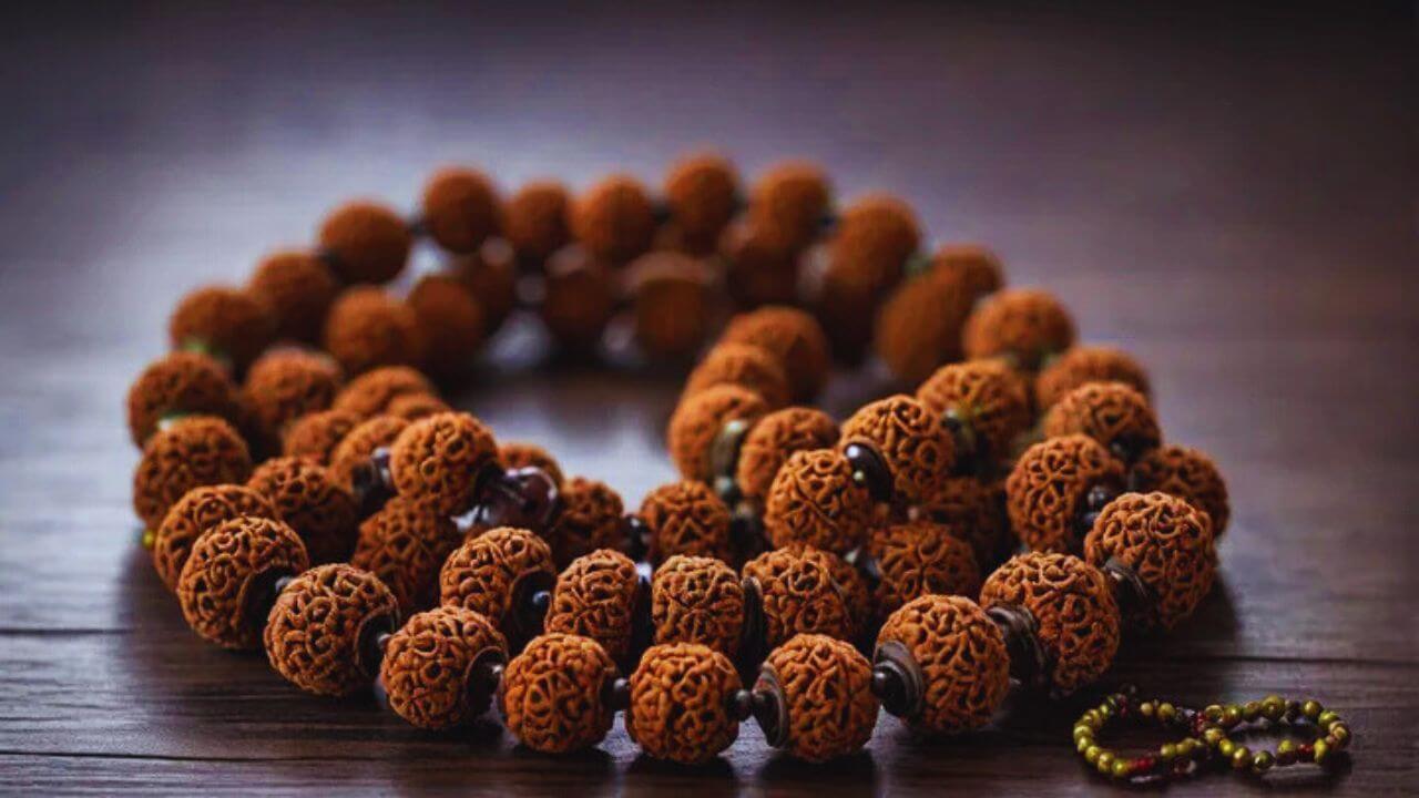 Rudraksha