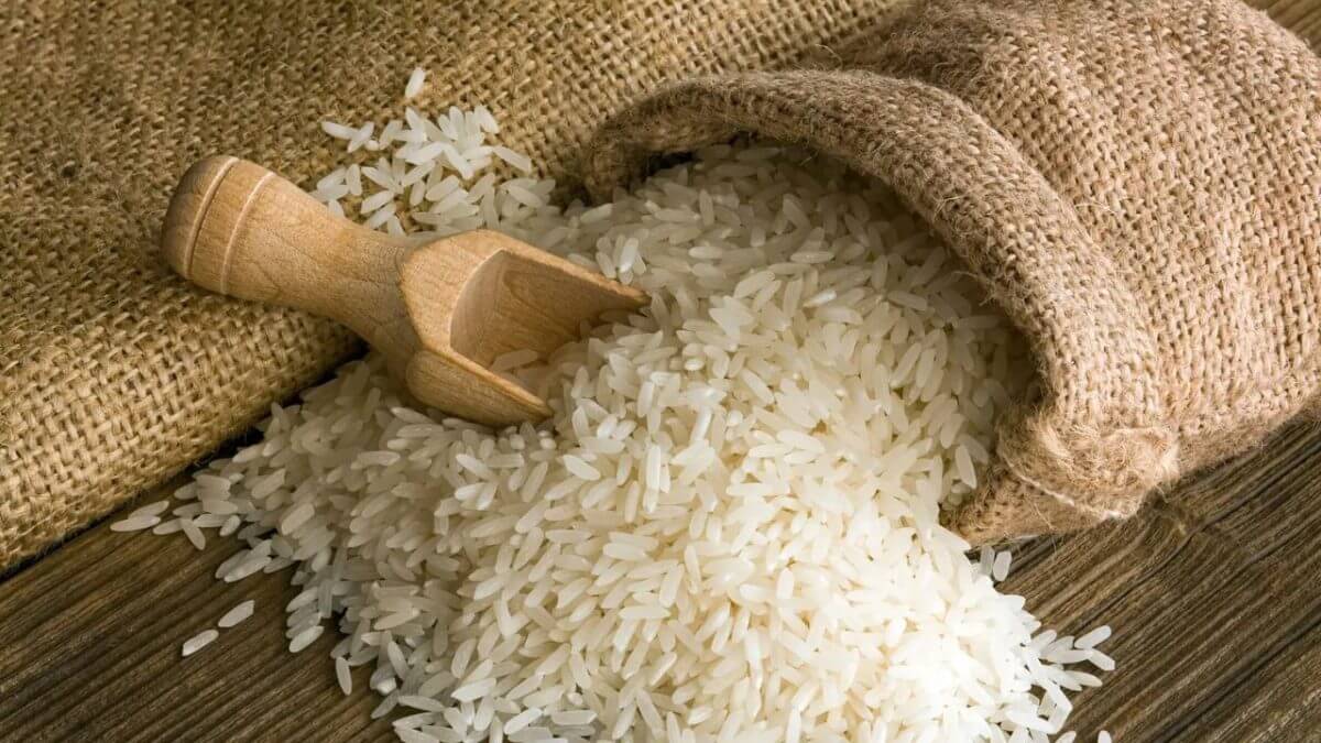 Rice