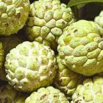 Benefits of Custard Apple