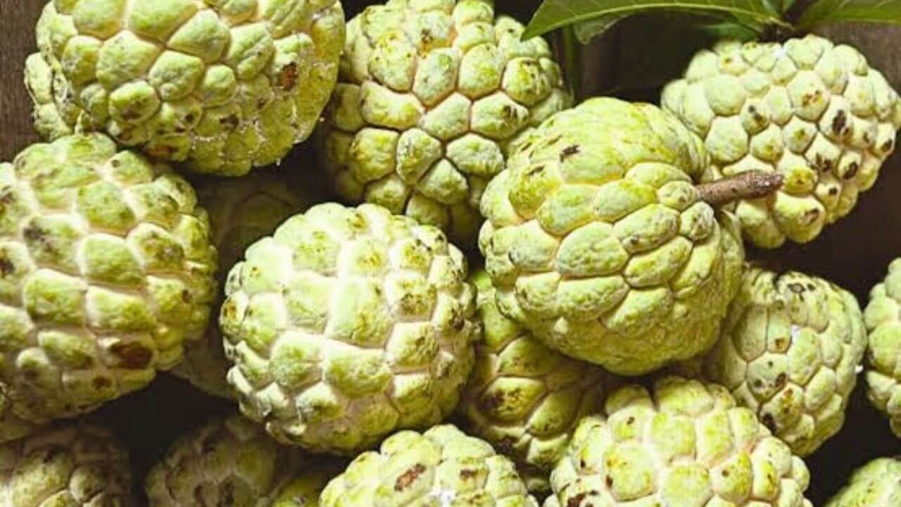 Benefits of Custard Apple