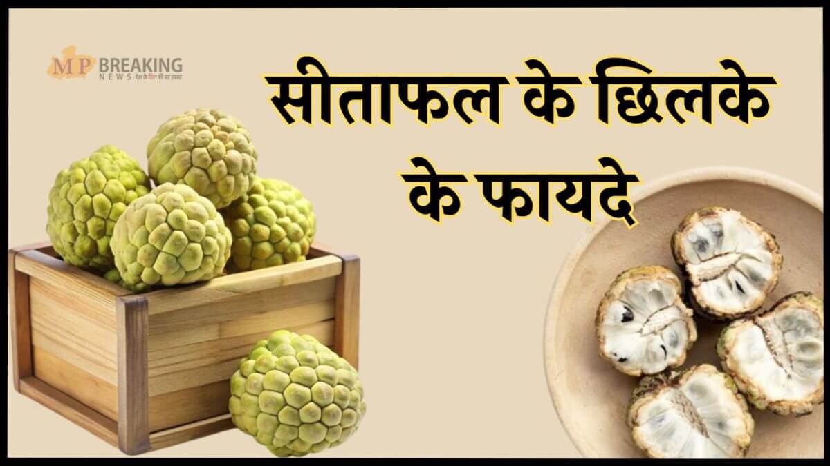 Custard Apple Peel Benefits