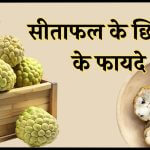 Custard Apple Peel Benefits