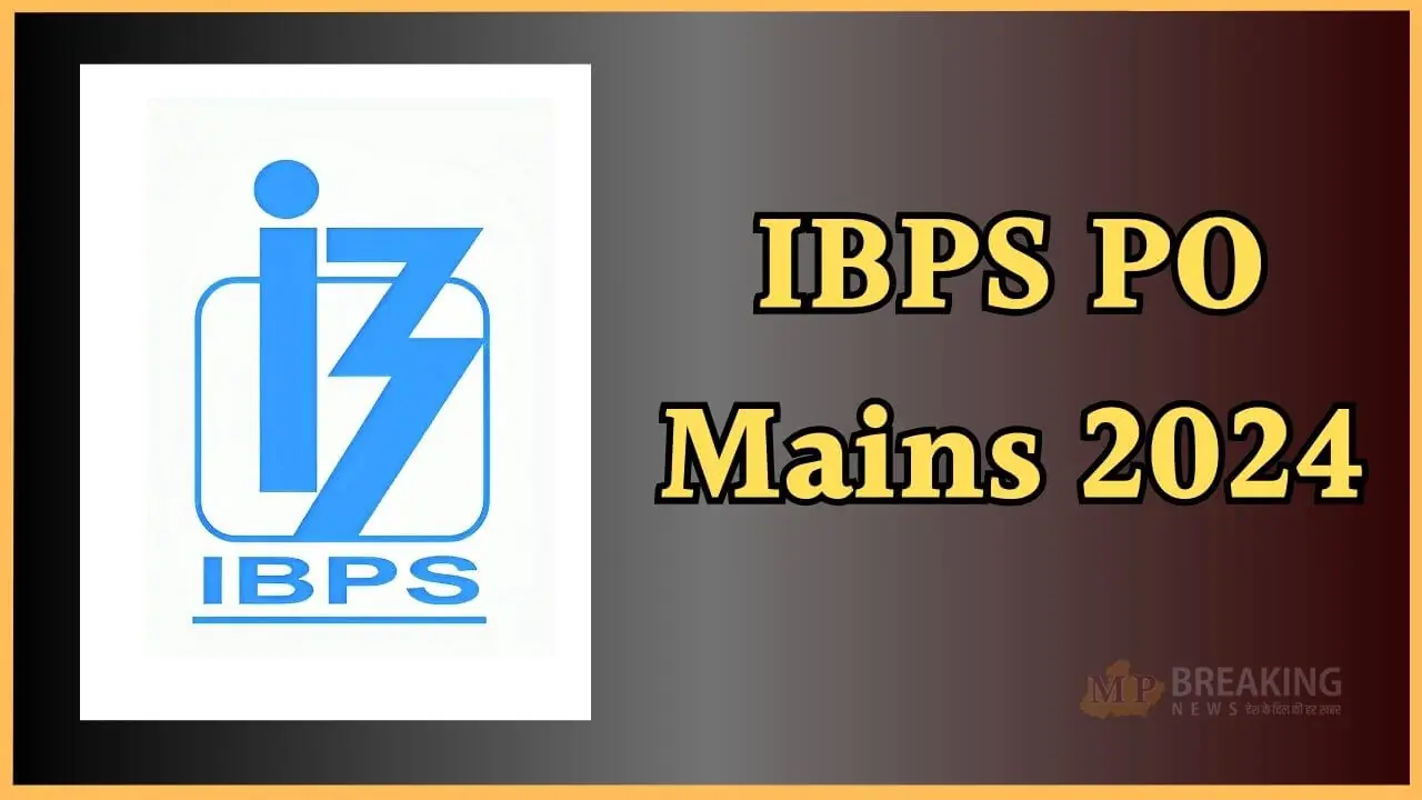 ibps po mains 2024