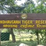 Bandhavgarh Tiger Reserve