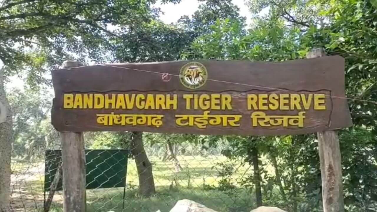 Bandhavgarh Tiger Reserve