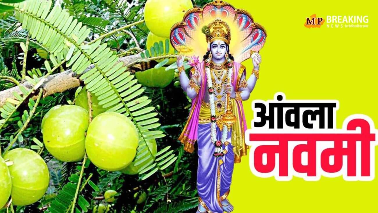 आज मनाया जाएगा अक्षय नवमी का पर्व, यहां जानिए शुभ मुहूर्त और पूजा विधि